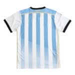 Argentina Retro Home | 2014 | Fan Version soccer jersey, back view. Light blue and white vertical stripes with black collar and sleeves.