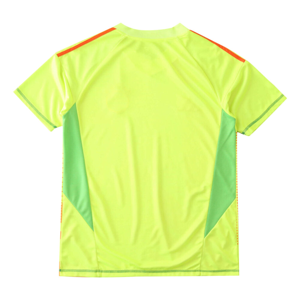 Back view of Bayern Munich Goalkeeper Fan Version jersey for the 2024/25 season, featuring yellow with green and red accents.