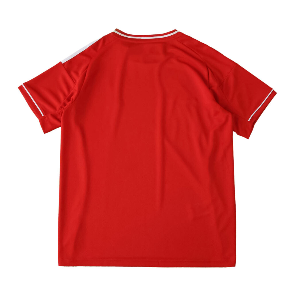 Back view of Liverpool Home 2025/26 Fan Version jersey in red with white trim on sleeves and collar.