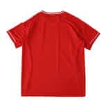 Back view of Liverpool Home 2025/26 Fan Version jersey in red with white trim on sleeves and collar.