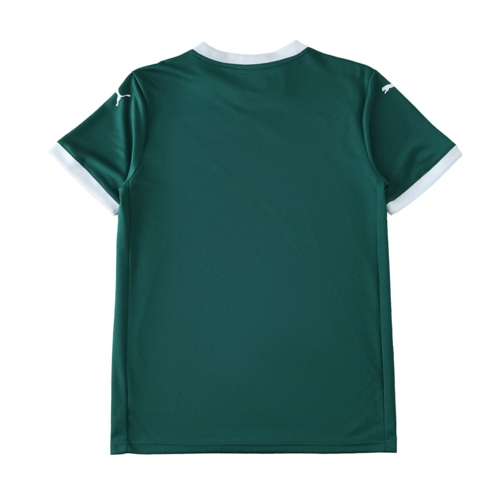 Back view of Palmeiras Home 2025/26 Fan Version jersey, green with white collar and sleeve trim.