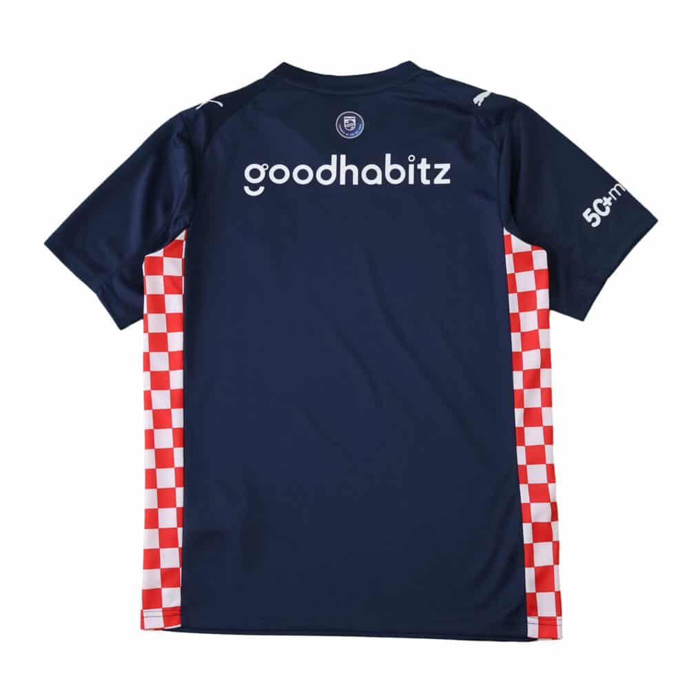 Back view of PSV Eindhoven 2025/26 away fan jersey, navy with red and white checkered side panels.