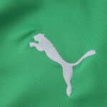 Close-up of white Puma logo on green Borussia Monchengladbach Away 2025/26 Fan Version jersey fabric.