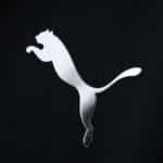 Silver Puma logo detail on the Manchester City 2025/26 Away Player Version jersey.