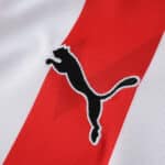 Close-up of the PSV Eindhoven 2025/26 home fan jersey featuring a Puma logo on red and white stripes.