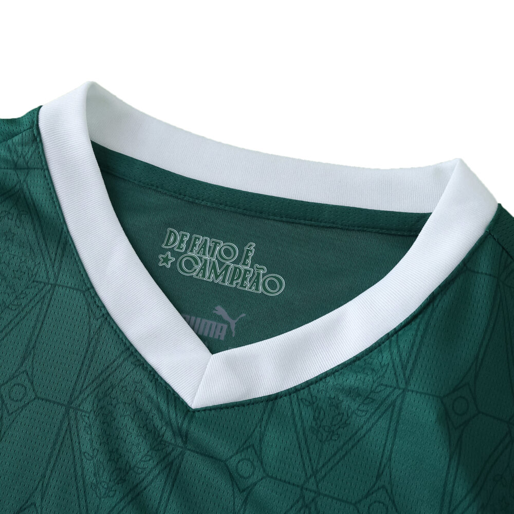 Close-up of the Palmeiras 2025/26 Home Fan Version jersey collar, featuring a white v-neck and green fabric.