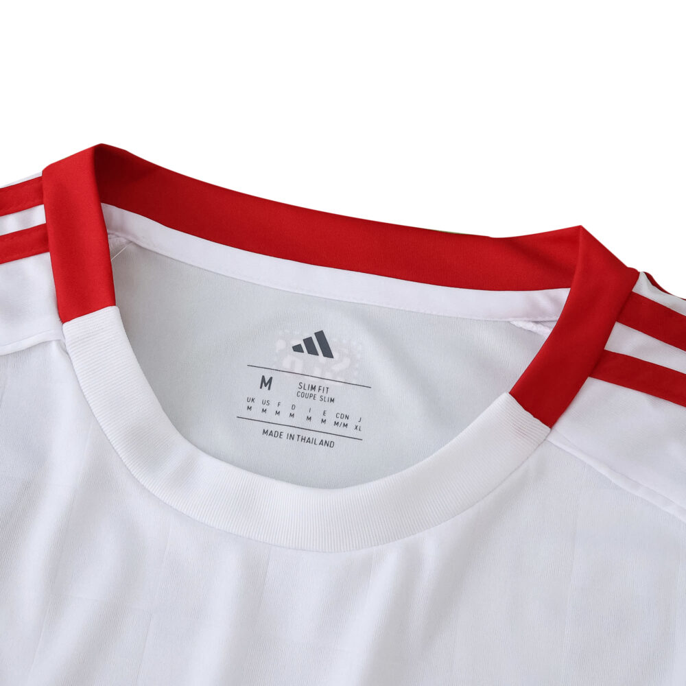 Close-up of SL Benfica Third 2025/26 Fan Version jersey, showing red collar and shoulder stripes.