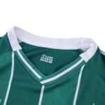 Close-up of Werder Bremen 2025/26 home fan jersey collar with white trim and vertical stripes.