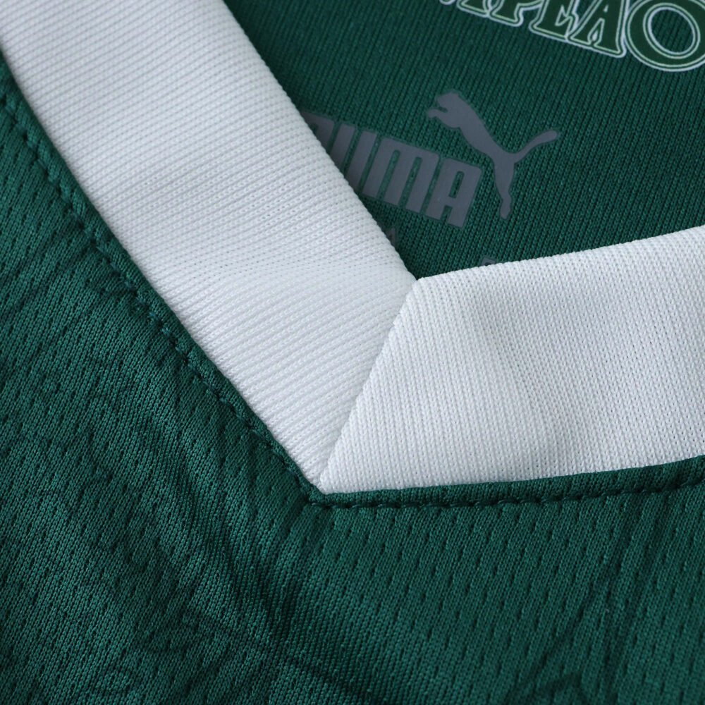 Close-up of Palmeiras 2025/26 home jersey collar with Puma logo, fan version.