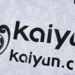 Close-up of Nottingham Forest Away 2025/26 Fan Version jersey featuring sponsor logo and subtle pattern.