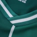 Close-up of Werder Bremen Home 2025/26 Fan Version jersey collar with green and white stripes.