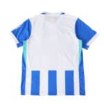 Back view of the Brighton & Hove Albion 2025/26 home fan jersey with blue and white vertical stripes.