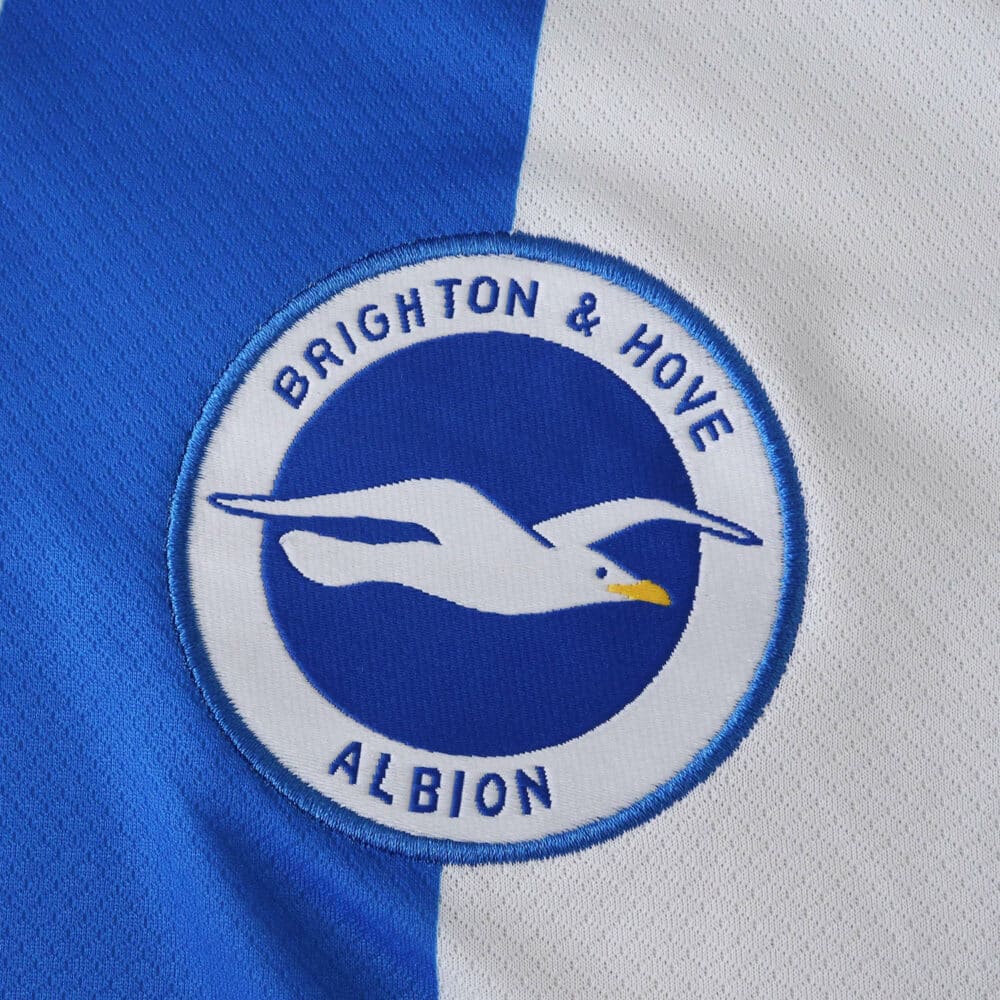Brighton & Hove Albion 2025/26 home shirt badge featuring a white seagull on blue and white background.