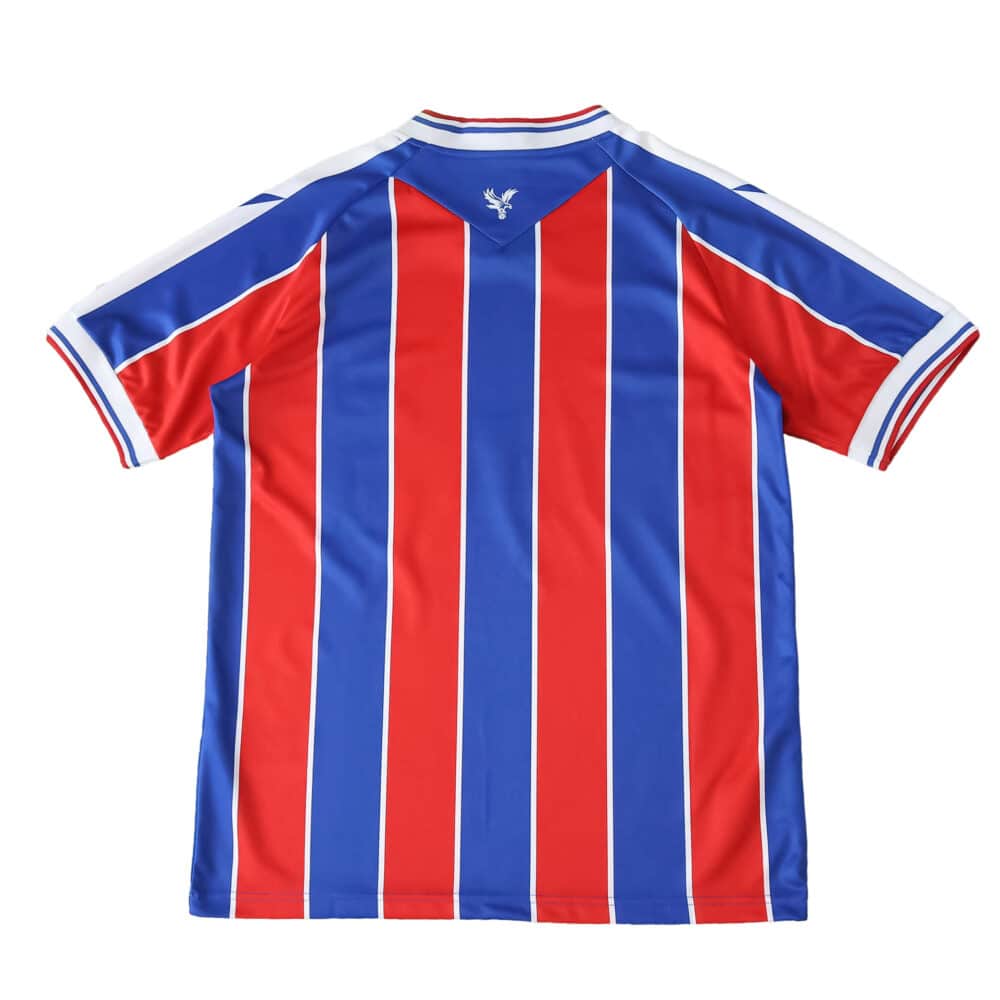 Back view of the Crystal Palace 2025/26 home fan jersey with red and blue vertical stripes.