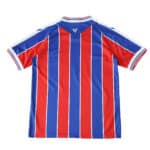 Back view of the Crystal Palace 2025/26 home fan jersey with red and blue vertical stripes.