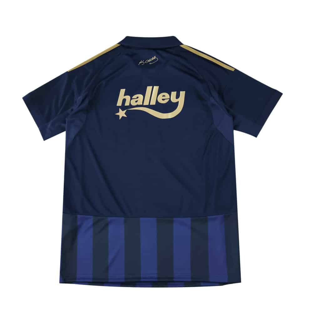Back view of Fenerbahce Third 2025/26 Fan Version jersey, featuring "halley" sponsor in gold.