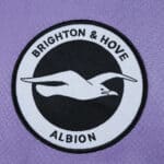 Brighton & Hove Albion 2025/26 away fan jersey badge featuring a seagull logo on purple fabric.